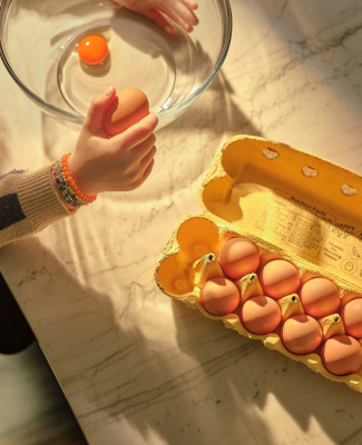 Happy Egg Egg Facts v2