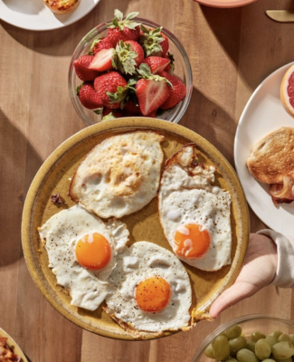 Happy Egg Mythbusters v2